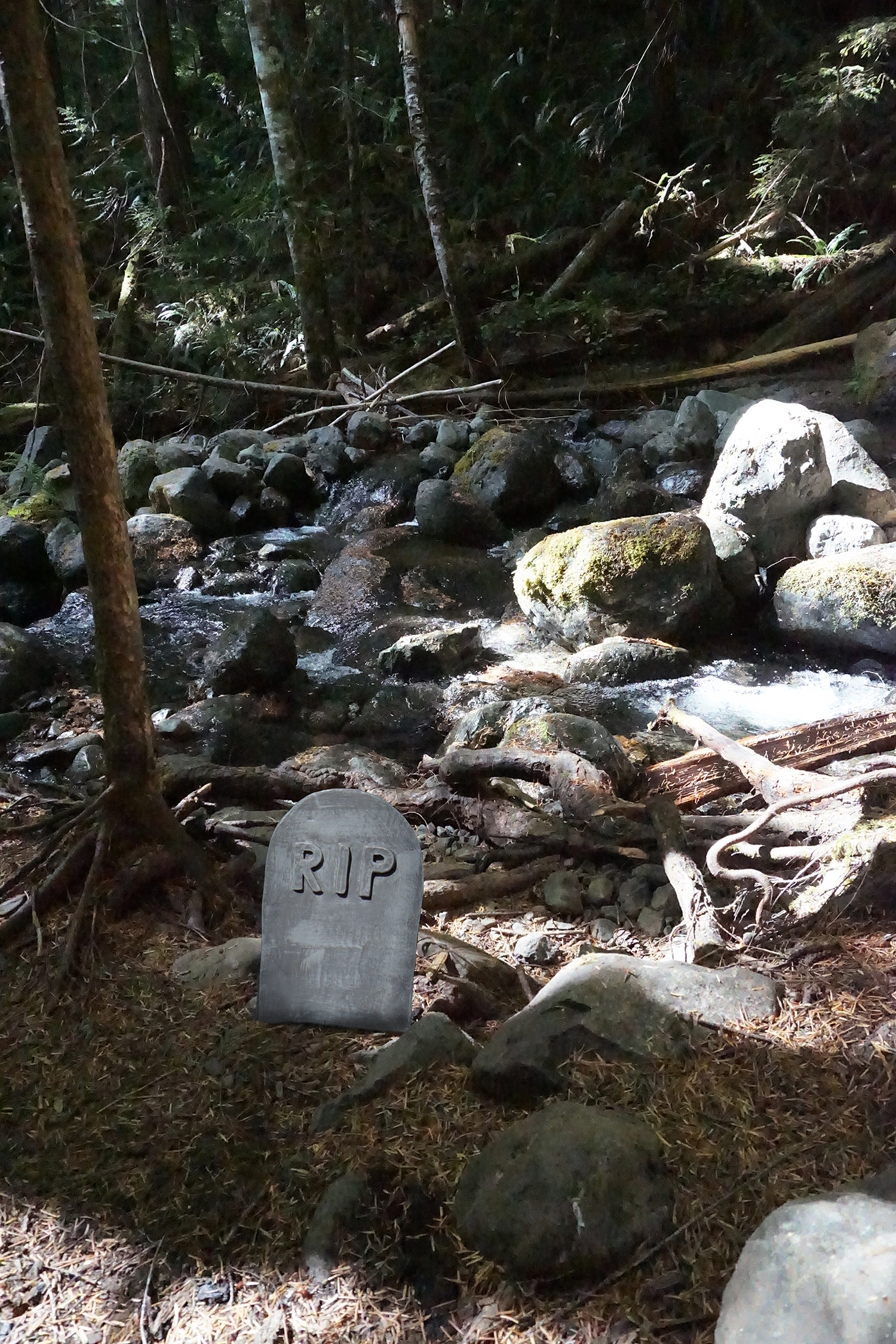 Olympic National Forest 2 - Portable Cemetery (Ongoing)