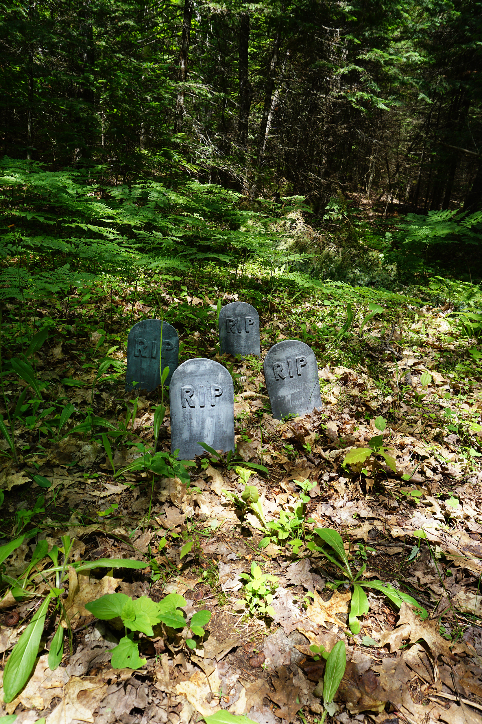 fallison lake 1 - Portable Cemetery (Ongoing)