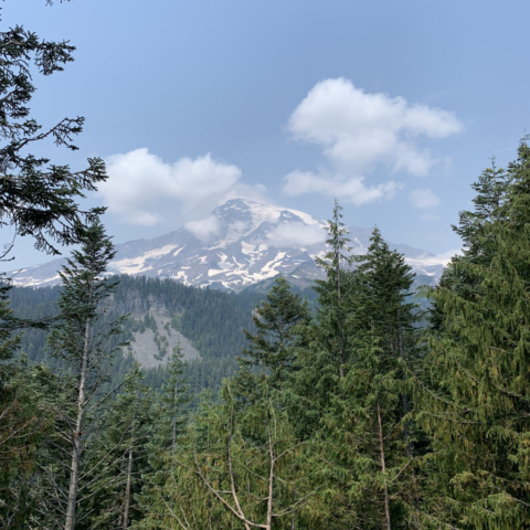 Mount Rainier National Park Washington 1 1024x1024 640x480 - Scenic Overlooks (Ongoing)